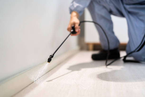 Licensed Pest Control service in Ludington, MI - Show Me Pest Control