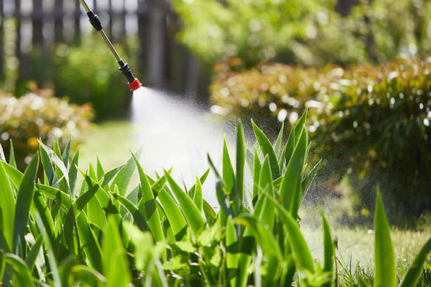 24/7 Emergency Mosquito Control experts in Ludington, MI