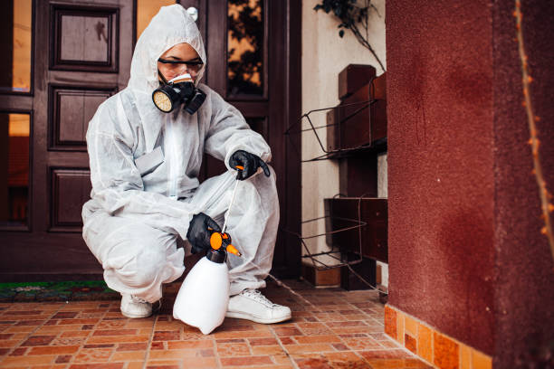 Reliable Mosquito Control contractor in Ludington, MI by Show Me Pest Control