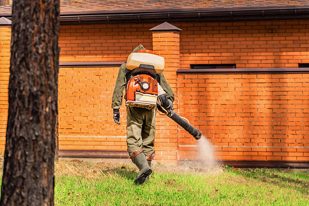 Top rated local Mosquito Control specialists in Ludington, MI